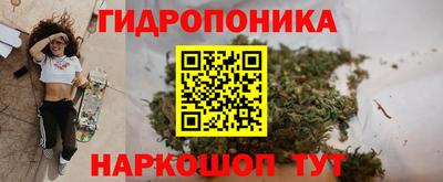 ПСИЛОЦИБИНОВЫЕ ГРИБЫ Тверь