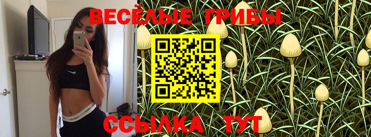 Орехово-Зуево  Псилоцибиновые грибы GOLDEN TEACHER  Вход с VPN  Псилоцибиновые грибы Cubensis 
